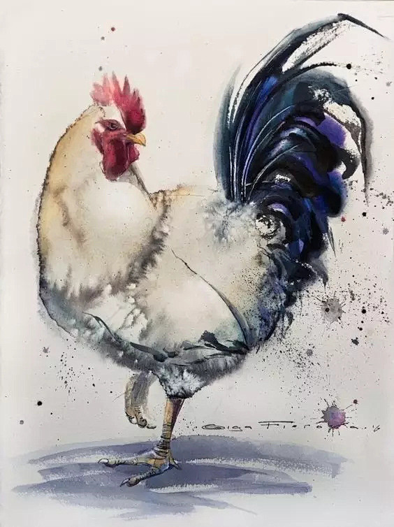 【绘画参考】鸡的参考~这组作品里的鸡都很...