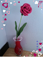 《一支玫瑰花，代表一生一世只爱你，也是今生今世只爱你。感谢分享图解的钩友们，也谢谢支持我的朋友们，祝你们情人节快乐！！！！！！！！！！！！！！！！！！元宵节快乐！》