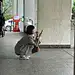 封闭货车