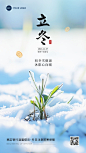 立冬金融保险节气祝福问候创意合成手机海报AIGC（初冬雪微凛 沐阳心向暖）