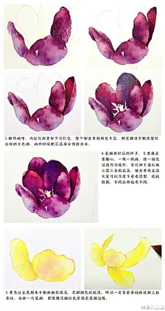 水彩---教程 - 高清图片，堆糖，美图壁纸兴趣社区
