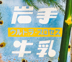 苏安北采集到标志字体