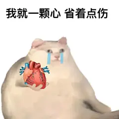 怂怂的猫猫表情包_1_樂（禁言中）_来自小红书网页版