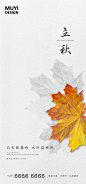立秋