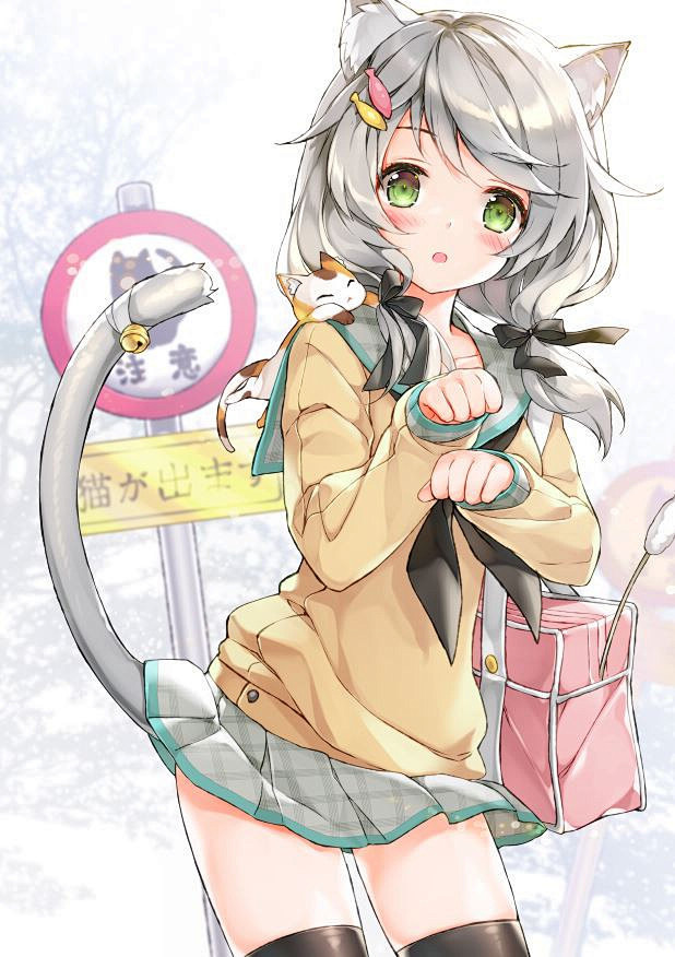 兽耳娘双马尾