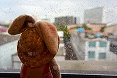 兔子娃娃在窗户上。外面下雨了。这张照片有文字背景空间。