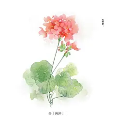 古风手绘水彩插画