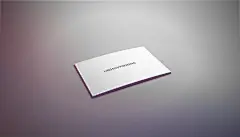 商务企业极简唯美名片样机