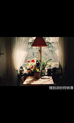 单向女孩Evan采集到5.5