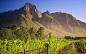 南非：Franschhoek 葡萄酒庄园农场 Vineyard in Franschhoek, South Africa

？？？