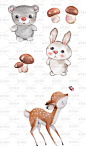 水彩手绘小动物萌兔子小熊考拉画芯小猫服装印花高清jpg设计素材-淘宝网