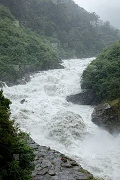 野生河抖动