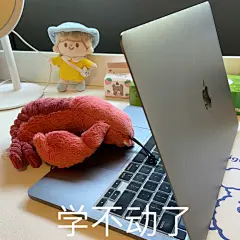 @秋秋鹤 jellycat龙虾 | Larry表情包 堆糖转载一枕甜洝入梦