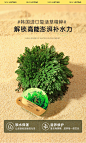 花间陌复活草空气发膜正品修复烫染干枯补水顺滑改善毛躁护发素-tmall.com天猫