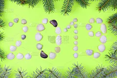 2019. 新年。碑文2019由贝壳制成。用冷杉树枝制作的新年贺卡。黄土猪年图案。绿色的背景与圣诞树