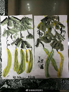 cooican采集到101