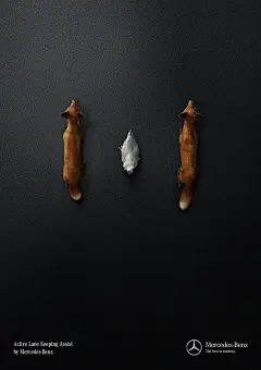 Behance :: 为您呈现