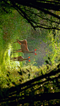 威斯康星州的白尾母鹿和小鹿 (© Karel Bock/Shutterstock)


2020-08-04

 10552
