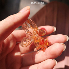 ๑秋安采集到热缩片