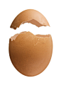 坏掉的,影棚拍摄,孵化,卵,褐色_157502654_Cracked Eggshell_创意图片_Getty Images China