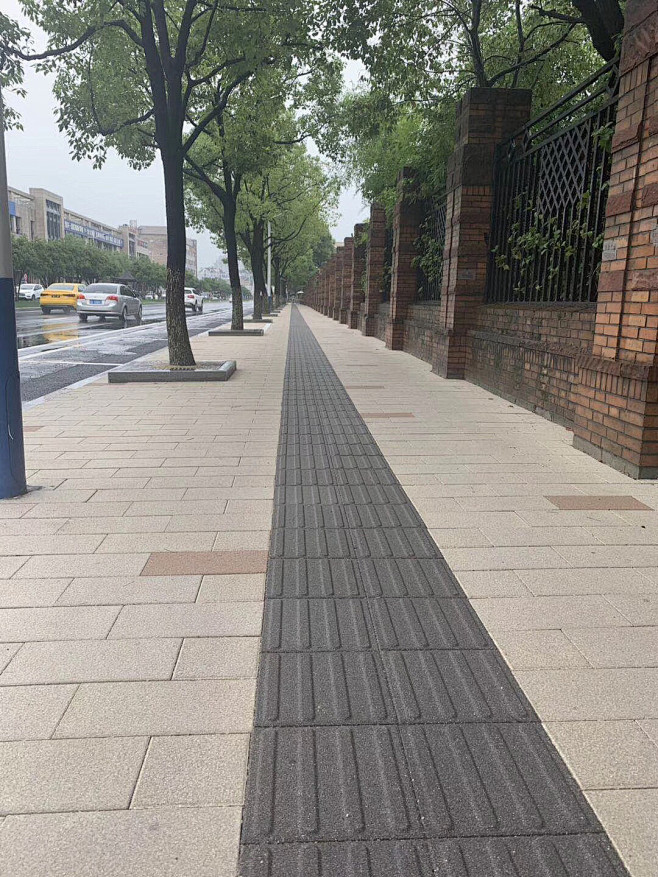盲道