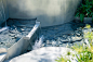 Lakeside Garden,Stepping up along the Forest Hill Springs, stainless steel retaining wall draws a subtle reflection of waving plants and water cascades. . Image © Qi Xi