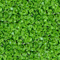 Seamless Water Plants Texture Material Stock Photo, Picture And Royalty  Free Image. Image 145897460.