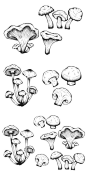 孤立的蘑菇手绘集