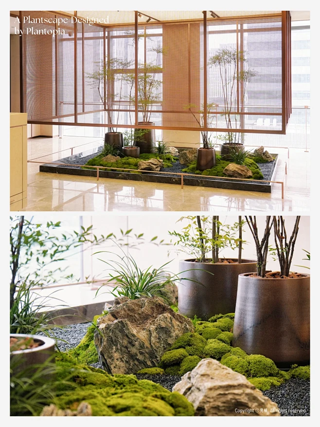 中式轻奢风 | 室内植物造景-花瓣网