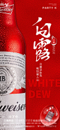 酒吧夜店KTV白露节气海报