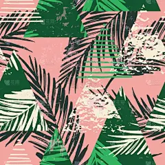 式样,热带气候,棕榈叶,夏天,纺织品,时髦的,时尚,植物学,图像,冲浪