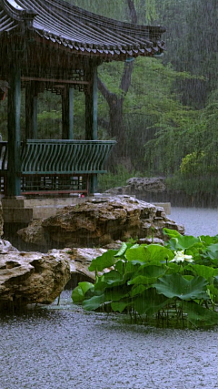 花香满庭园采集到风景，自然