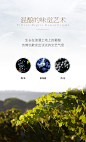 WINEBOSS 葡萄酒西班牙红酒进口15度干红葡萄酒红酒整箱6支装-tmall.com天猫
