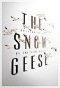 The Snow Geese : Unused comp for the broadway play.