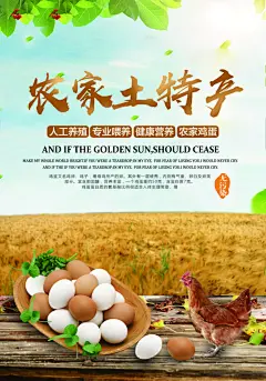 简约农家土特产海报