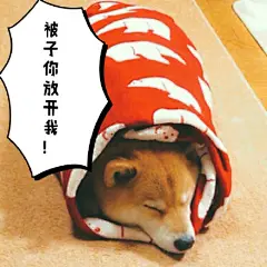 maru真的很适合做冬季表情包啊~~~~加字by 黄油相机app