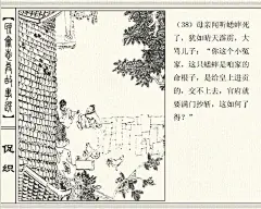 五万部经典连环画库珍藏版-聊斋志异26-促织
