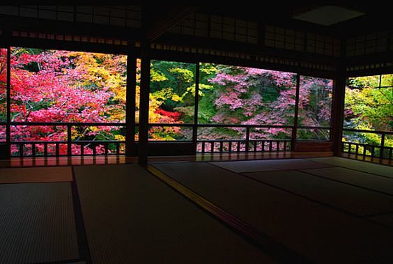 Rurikouin Temple(瑠璃光...