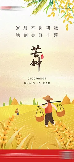 海报 地产 二十四节气 芒种 手绘