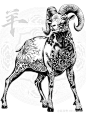 来自分享