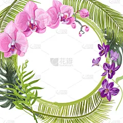 热带方卡，圆形框架与花束粉红色兰花，花和芽，绿色的棕榈树，竹子，怪物叶在白色的背景，数字绘图插图，模