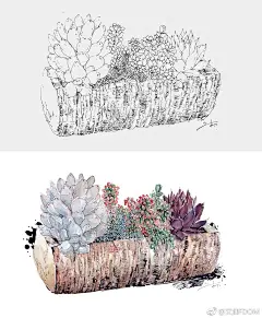 手绘插画教程的照片 - 微相册