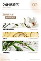 Mistine蜜丝婷小蓝盾粉底液持久不脱妆混干油皮控油干皮保湿遮瑕-tmall.com天猫