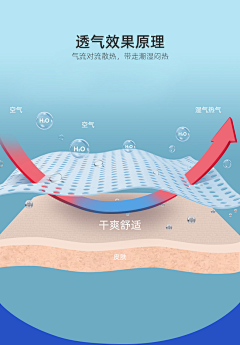 Monroe丶采集到排版