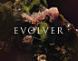 EVOLVER : film and cg hybrid - exploring transformation and creativity - bose collins - london