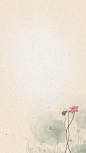 quality,Q_100 (1.04 MB,1242*2208)