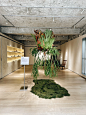 YEARLY PLAN X ABSOLUTE合作展 ｜植蕨 - 小红书
