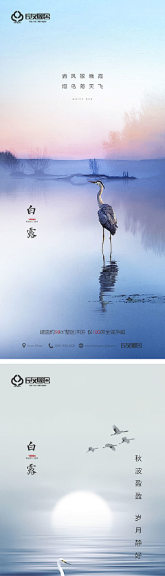 詹儒凤采集到开机动画