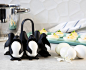 This adorable egg-holder and boiler turns your poultry into penguins! | Yanko Design