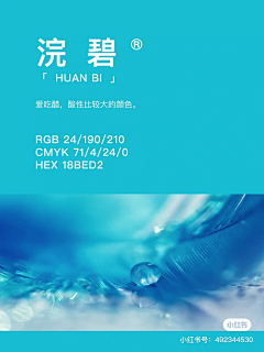 街角的风铃41采集到详情-配色